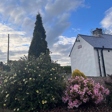 Dans Wee Cottage Slieve Croob Dromara Castlewellan Newcastle Luaran gambar