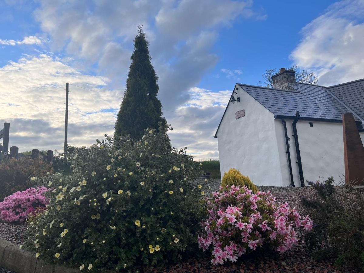 Dans Wee Cottage Slieve Croob Dromara Castlewellan Newcastle Luaran gambar