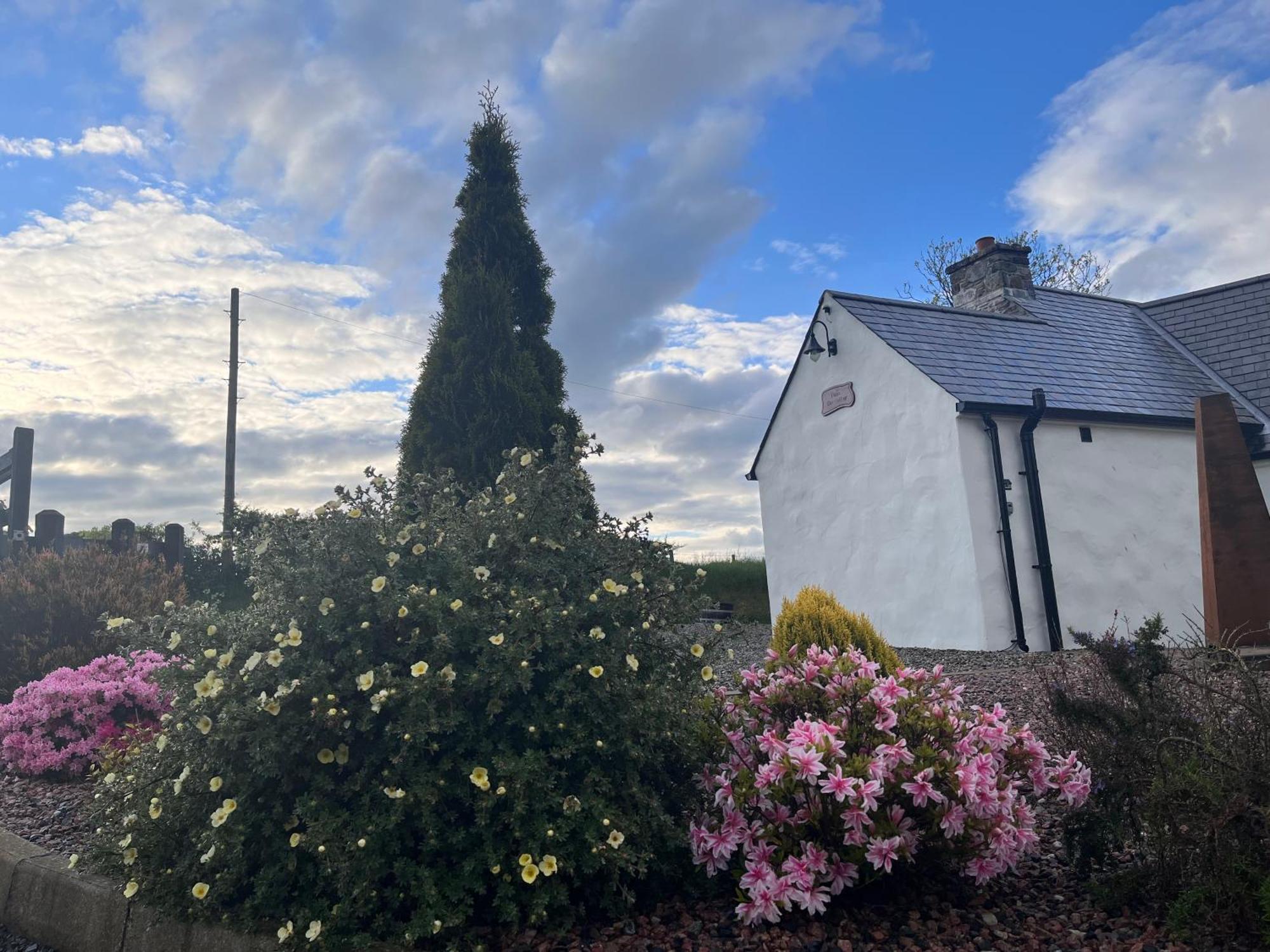 Dans Wee Cottage Slieve Croob Dromara Castlewellan Newcastle Luaran gambar